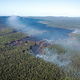 Image for article titled Eruption Burns Forest on Hawaii